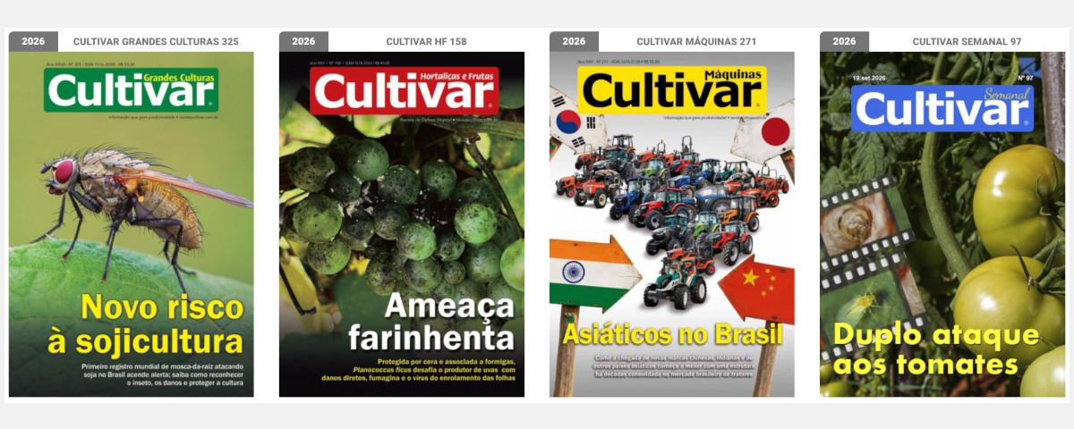 Capas - 2025