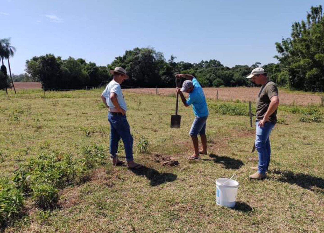 Adubação racional é destaque nas técnicas de manejo de solo