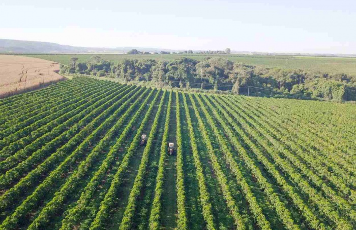 Expocacer destaca avanços em ESG no agro em 2024