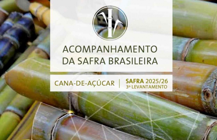 Clima adverso reduz produção de cana na safra 2025/26