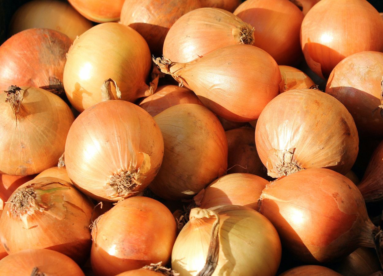 Low supply causes garlic and onion prices to rise, points out the April Agricultural Bulletin