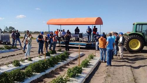 Parceria da pesquisa com cadeia produtiva de hortaliças é destaque em visita à Flórida