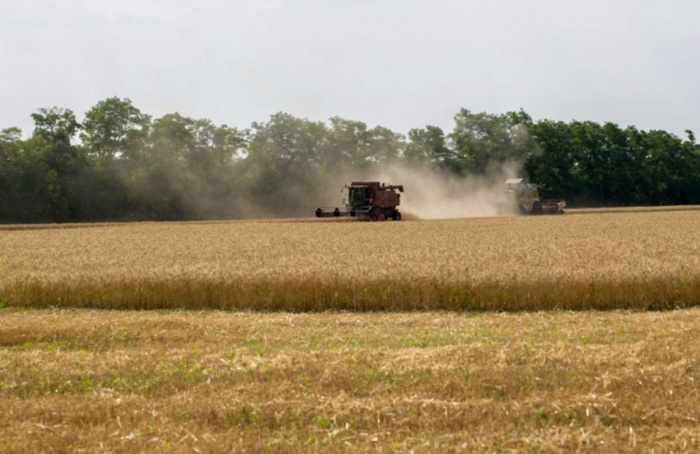 Crédito rural movimenta R$ 28,2 bilhões em julho