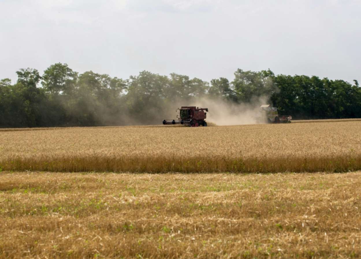 Crédito rural movimenta R$ 28,2 bilhões em julho