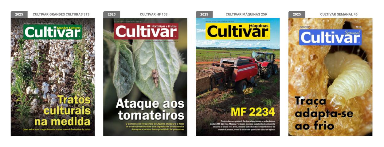 Capas - 2025