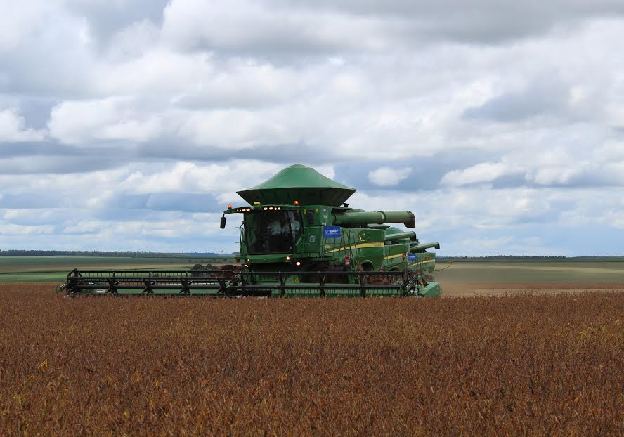 Colheita da soja chega a 50% da área cultivada em Goiás e plantio do milho safrinha avança