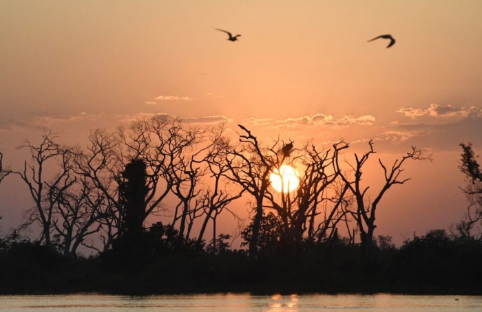 Onda de calor aumenta risco de incêndios florestais em Mato Grosso do Sul