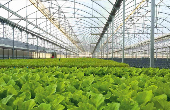 BASF apresenta plasticultura sustentável na Hortitec 2025