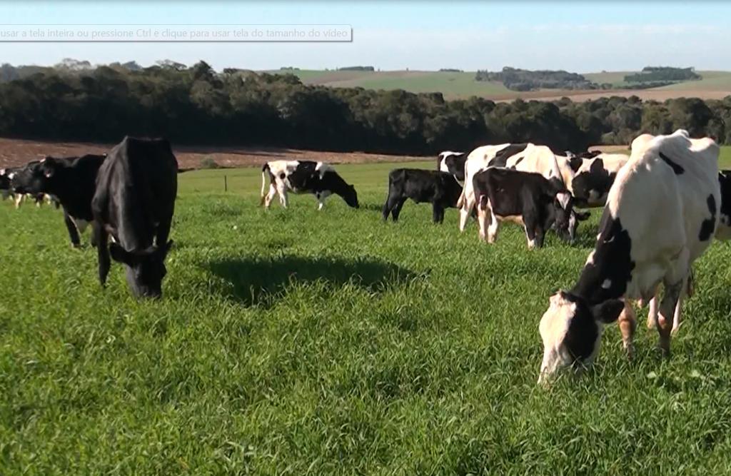 3º Dia de Campo ILPF será realizado em Passo Fundo