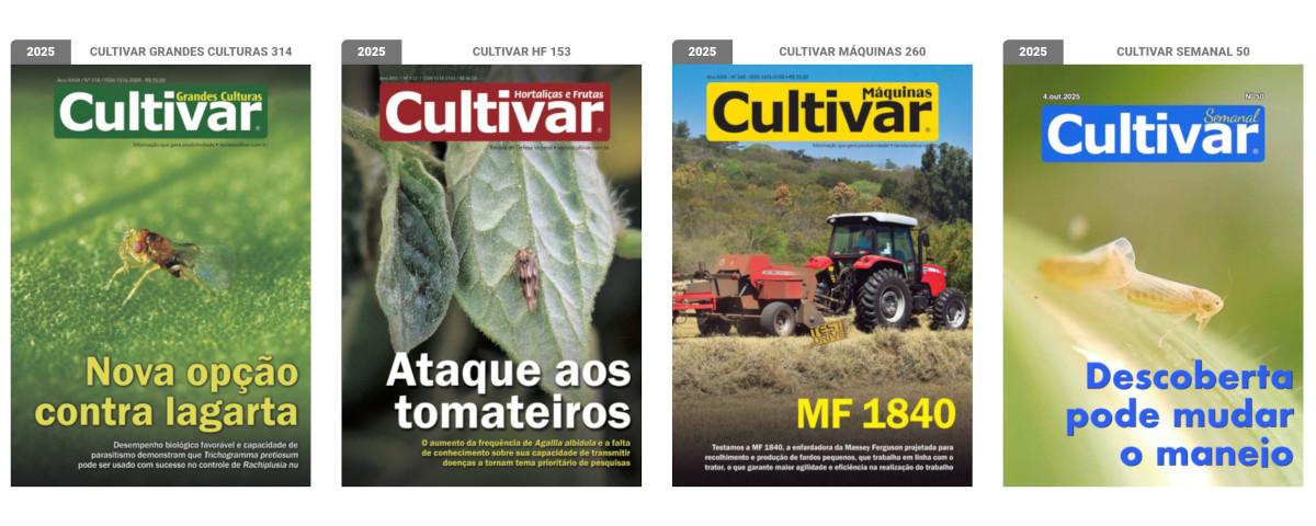 Capas - 2025