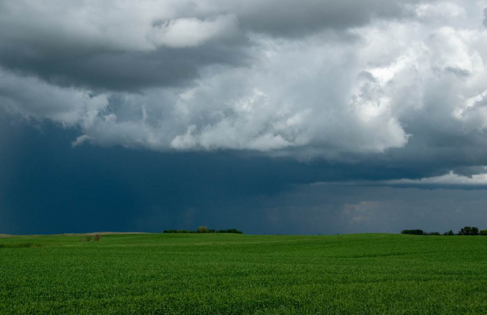 Dezembro de 2023 foi marcado por episódios de chuva e impactos no agronegócio