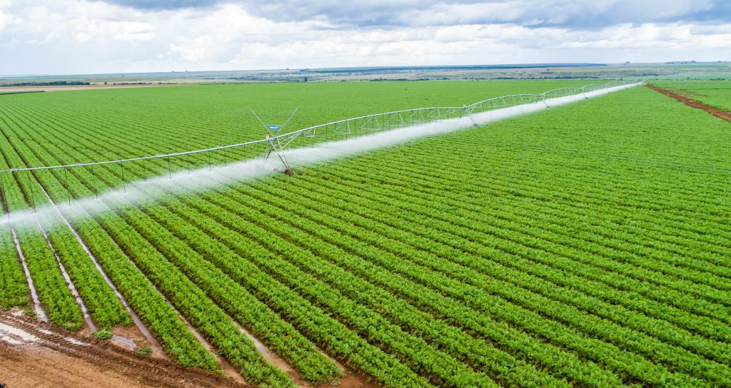 Setor de irrigação comemora destaque no Plano Safra 2021/22