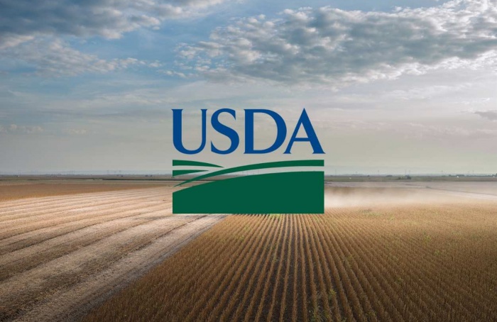 USDA projeta crescimento da soja no Brasil na safra 2025/26