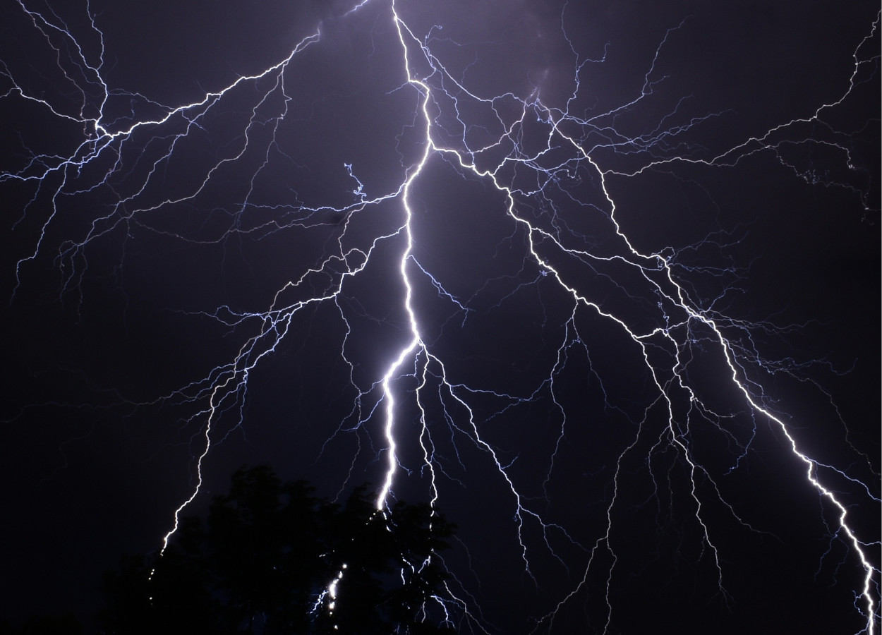 Foto: Michelle McEwen / Unsplash