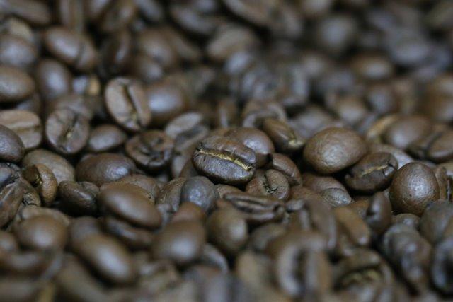 Consumo mundial de café atinge 167,5 milhões de sacas no ano-cafeeiro 2019/2020