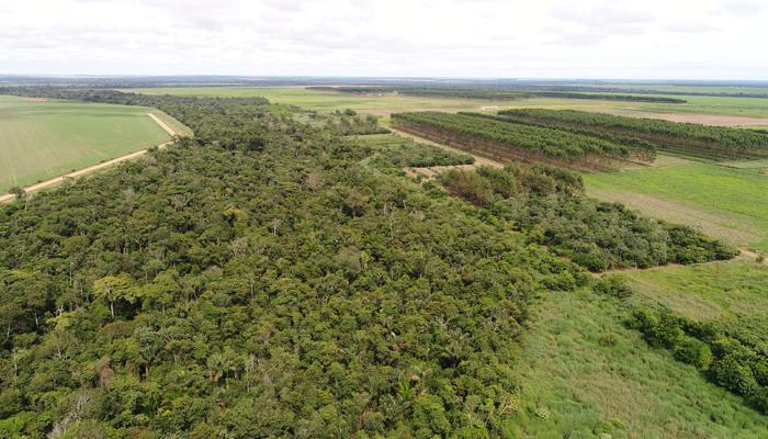 Abertas as inscrições para curso sobre adequação ambiental de propriedade rural