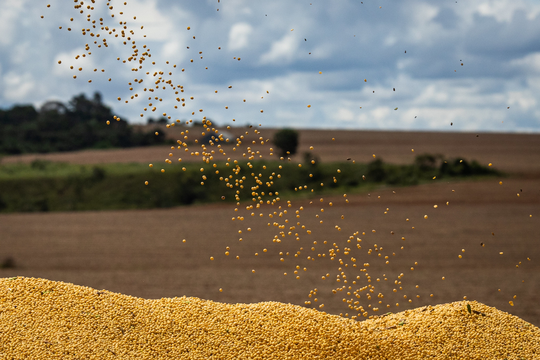 Safra de grãos em 2023 deve impulsionar indústria química