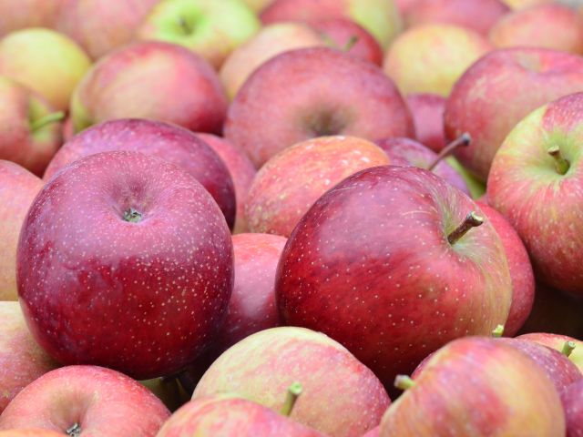 Mercado da maçã deve ter redução das importações com comercialização da safra nacional