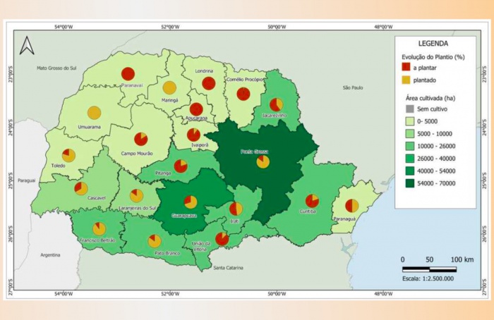 Chuva ameniza queimadas e impulsiona atividades agrícolas no Paraná