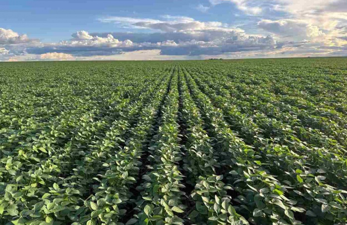 PI AgSciences leva tecnologia Pretec ao Show Tecnológico Verão