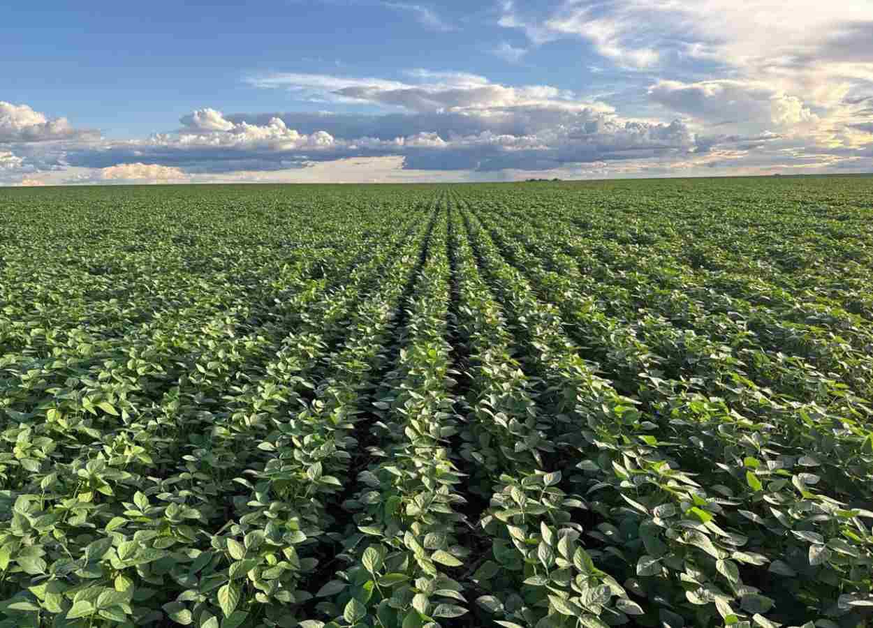 PI AgSciences leva tecnologia Pretec ao Show Tecnológico Verão