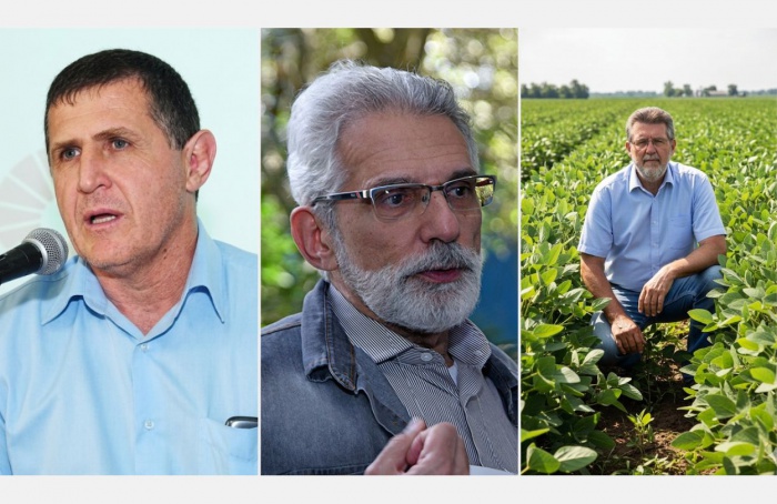 Sem produtividade não há sustentabilidade: lições do Agro e da Embrapa