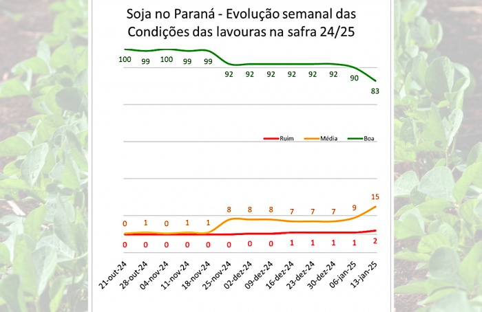 PR Safra 2024/25: colheita atinge 2% da área