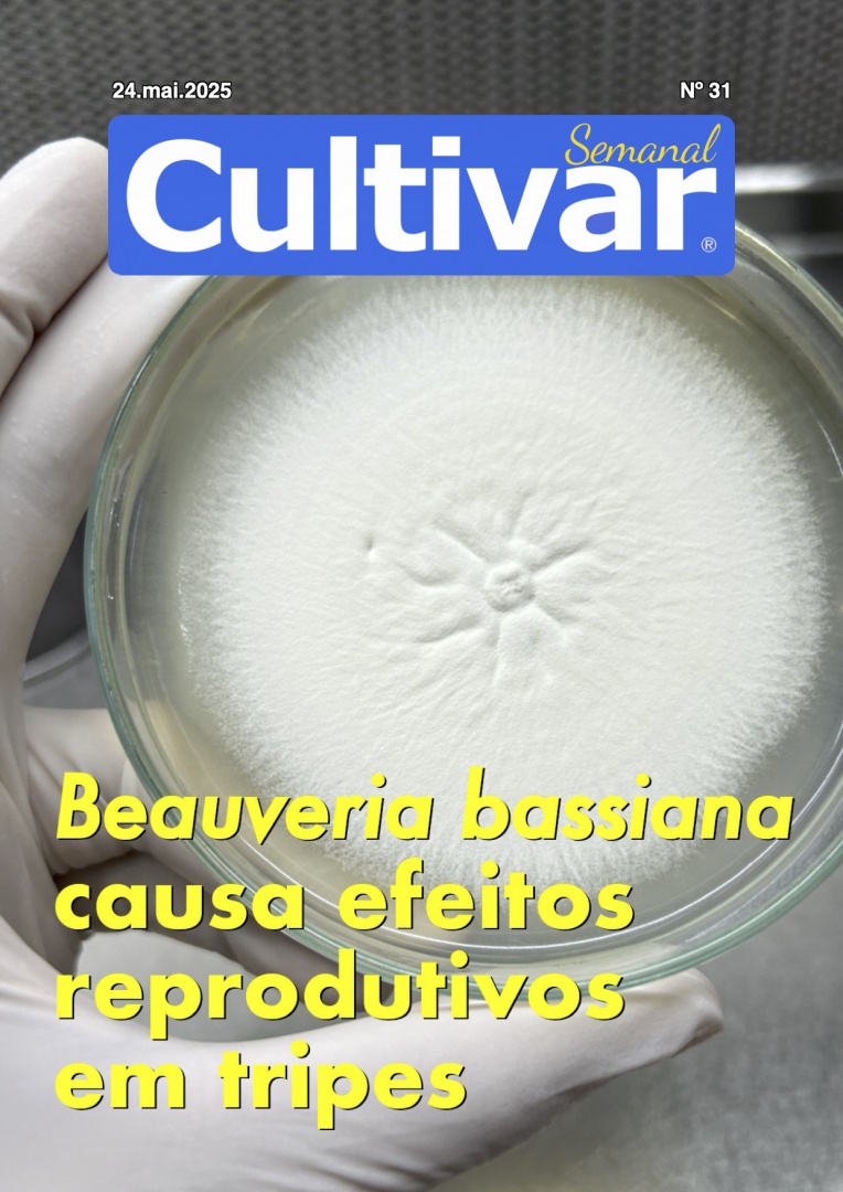 Cultivar Semanal 31