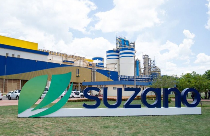 Suzano abre inscrições para Programa de Estágio Superior 2026