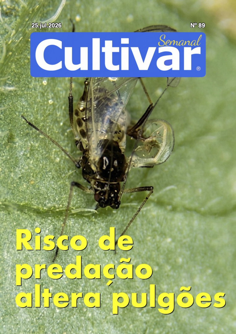 Cultivar Semanal 89