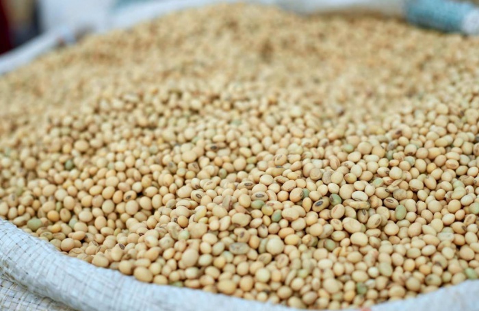 Comercialização da soja 25/26 em MT avança, mas preços recuam