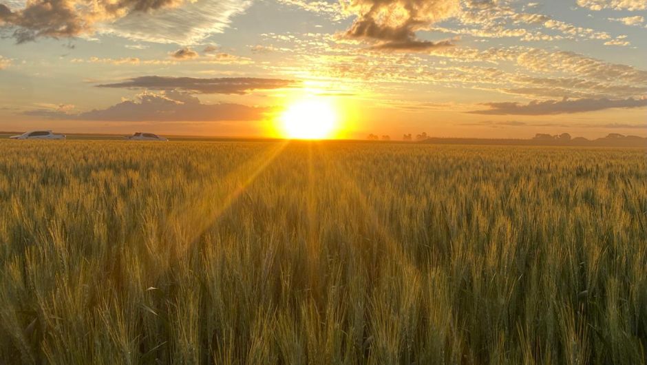 Foto: Alexandre Nascimento