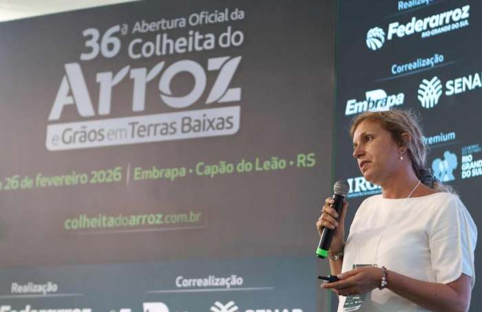 Especialista defende qualidade para ampliar exportações de arroz