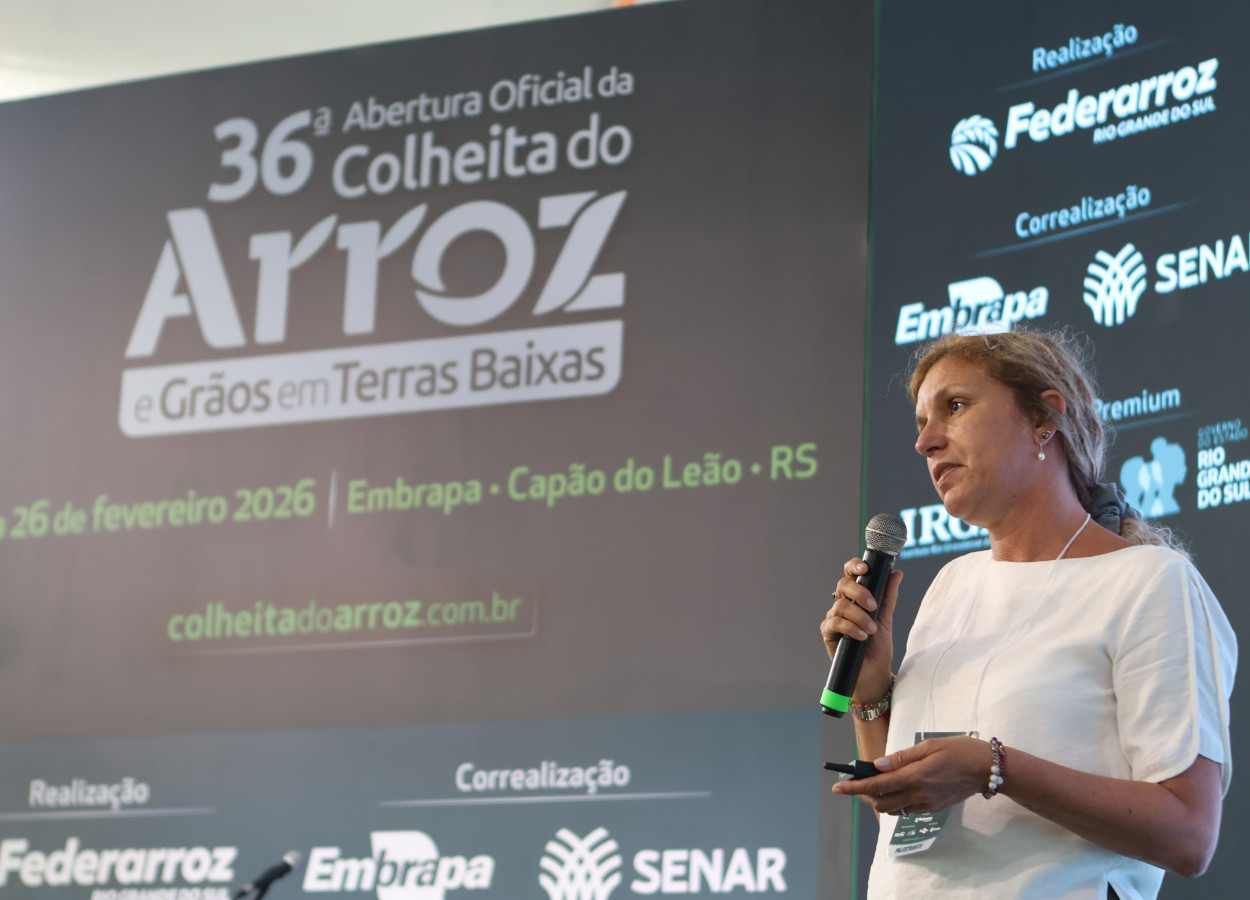 Especialista defende qualidade para ampliar exportações de arroz