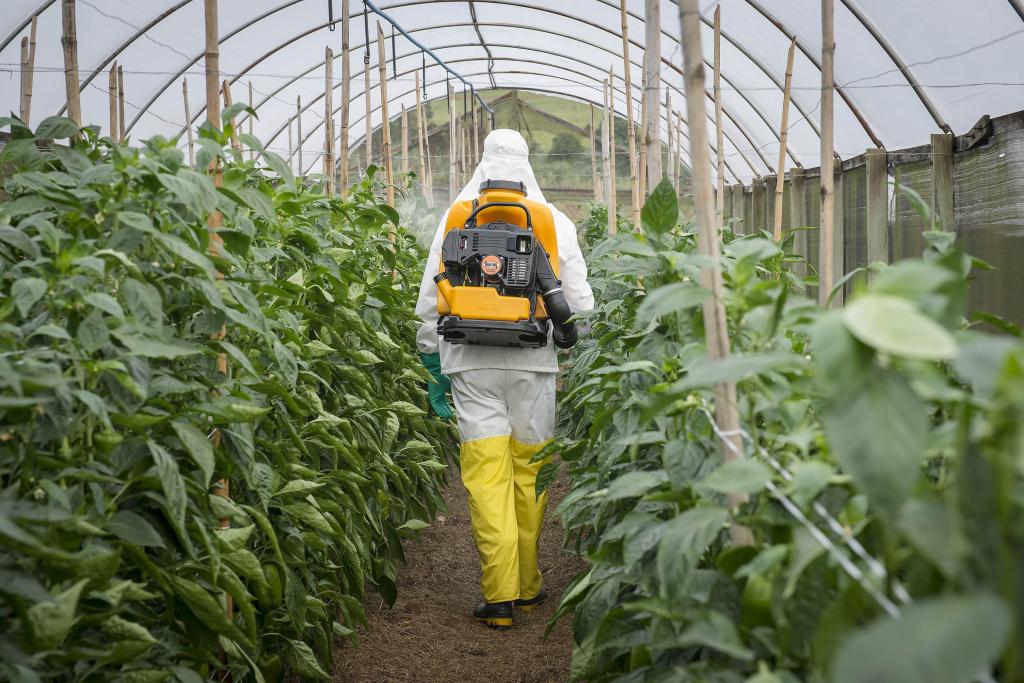 ​Guarany dissemina melhores práticas ao agricultor durante a 23ª edição da Hortitec