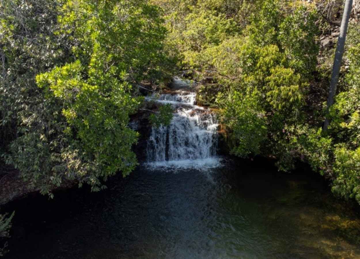 Goiás remunera produtores rurais que preservam o cerrado