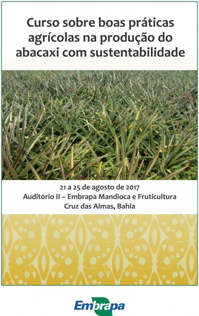 Curso aborda boas práticas agrícolas na produção de abacaxi