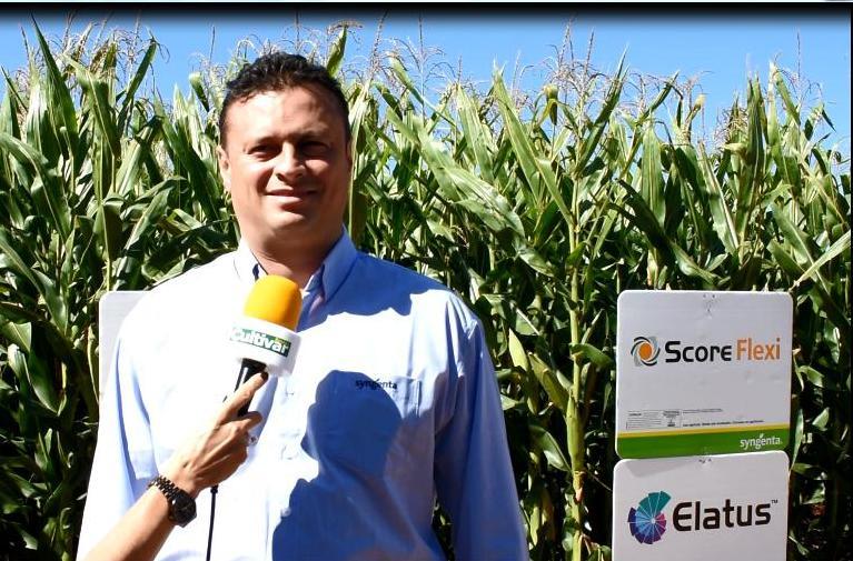 Especial Show Rural: Syngenta mostra circuito completo de manejo