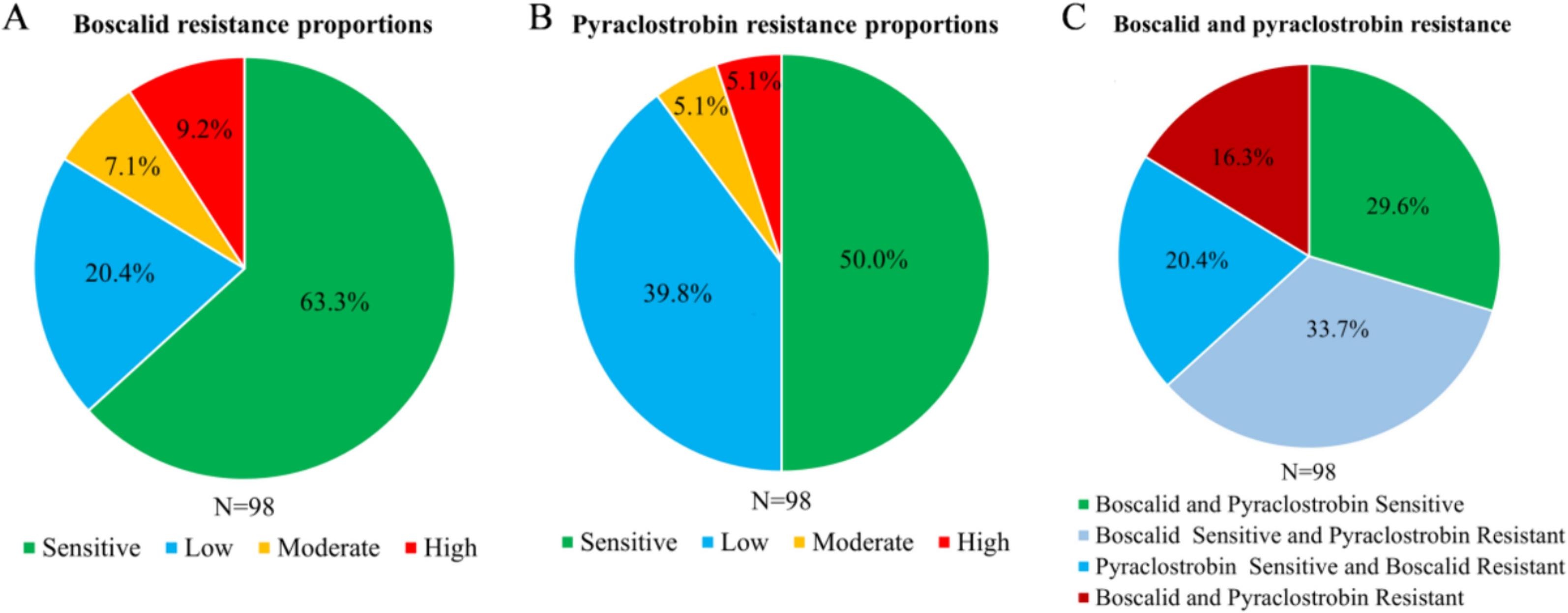 Níveis de resistência a boscalida e piraclostrobina em isolados de <i>Stemphylium solani</i> de 2006 a 2021 na China:<b> (A)</b> proporções de resistência à boscalida entre os 4 níveis; <b>(B)</b> proporções de resistência à piraclostrobina entre os 4 níveis; <b>(C)</b> resistência à boscalida e à piraclostrobina. Fenótipo do nível de resistência: sensível (taxa de resistência≤10), baixa resistência (10&lt;taxa de resistência≤50), resistência moderada (50&lt;taxa de resistência≤100), alta resistência (100&lt;taxa de resistência) -&nbsp;doi.org/10.1016/j.pestbp.2024.106028