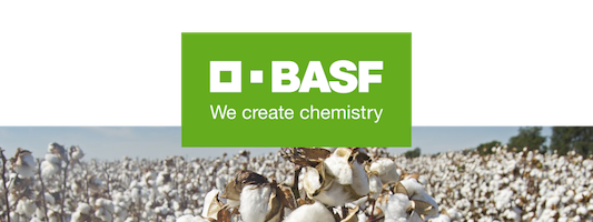 Subcomissões da CTNBio aprovam algodão resistente a herbicidas da BASF