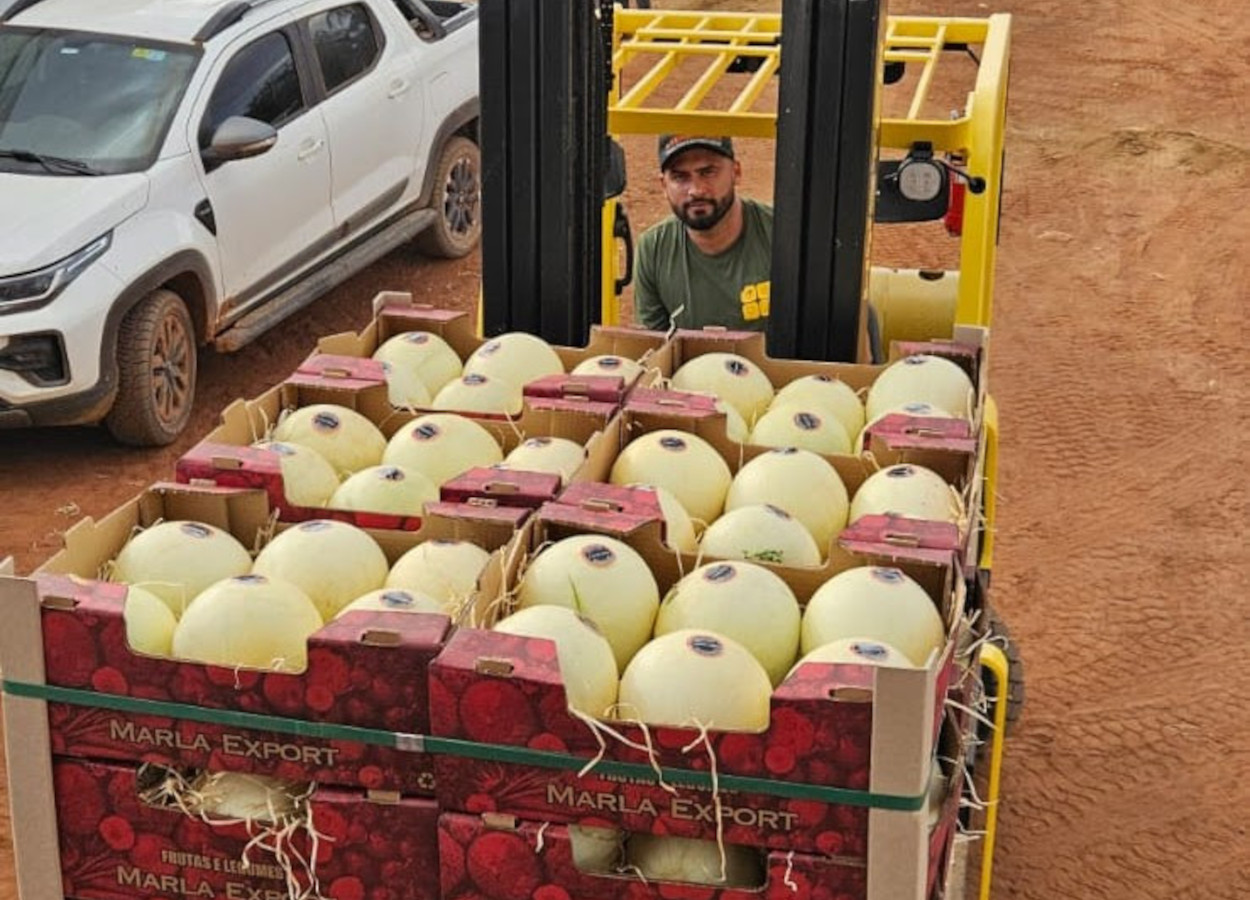 Foto: Agrodefesa