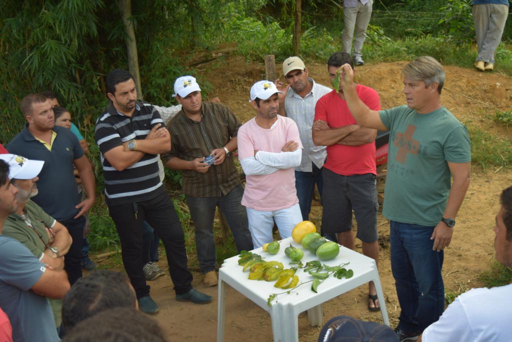 Cultura do maracujá atrai produtores de tomate em Paty de Alferes, RJ