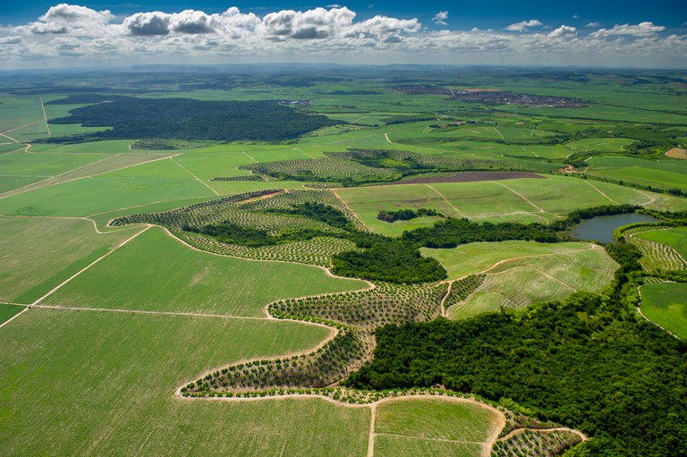 Plano nacional irá agilizar a implementação do Código Florestal em imóveis rurais