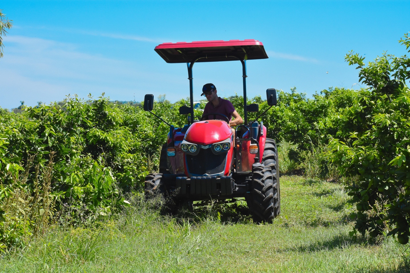 Exclusive Test Drive with Yanmar's YM347A tractor - Revista Cultivar