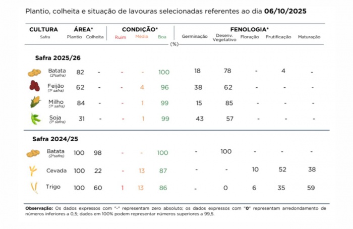 PR Safra 2025/26: chuvas aceleram plantio no estado
