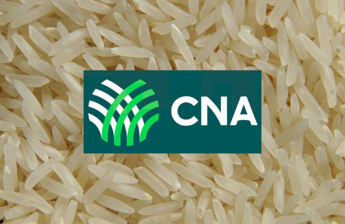 CNA ajuiza ADI 7664 contra a importação de arroz
