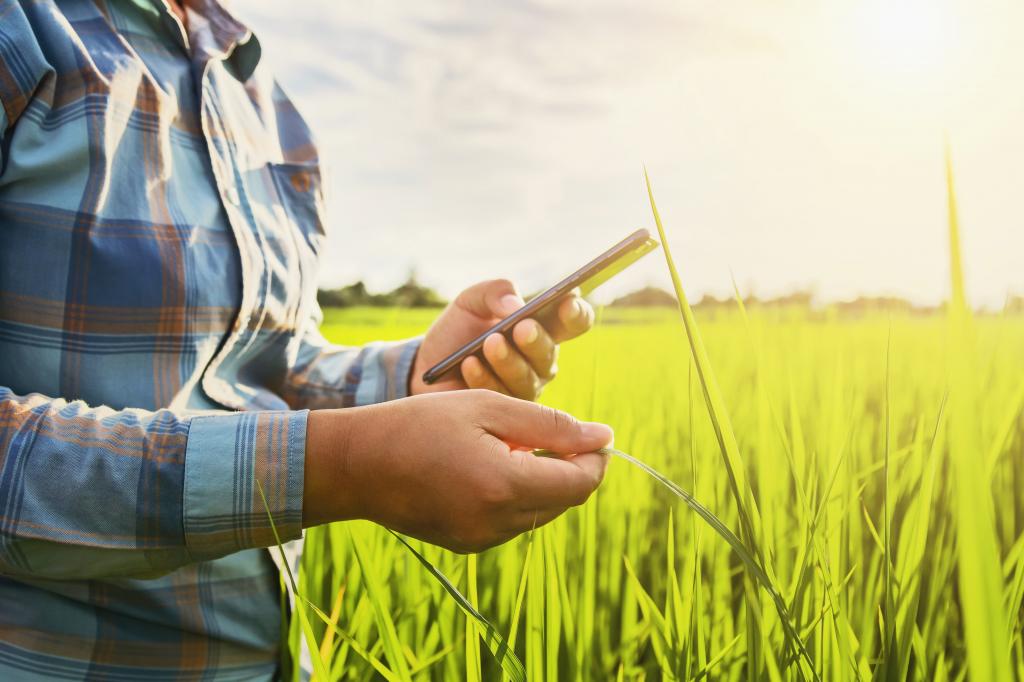 Brasil sedia 1º AgTech French Brazilian Club