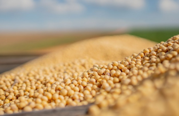 StoneX projeta queda de 2% na safra de soja do Paraguai