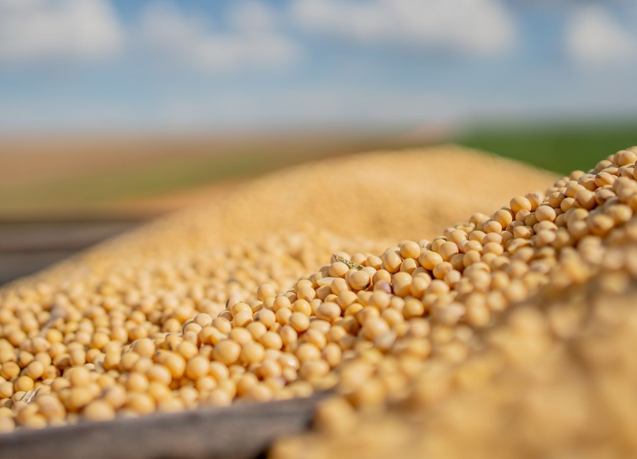 StoneX proyecta una caída del 2% en la cosecha de soja de Paraguay.