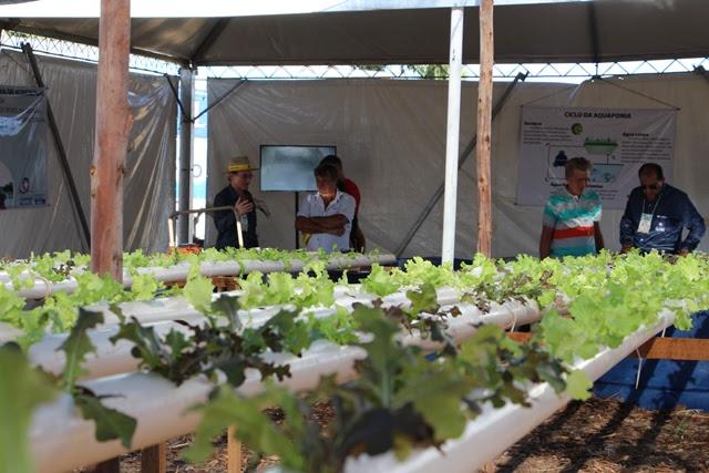 Bahia Farm Show 2019 amplia comercialização de produtos dos pequenos agricultores